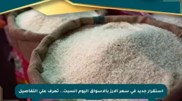استقرار جديد في سعر الأرز بالأسواق اليوم السبت.. تعرف على التفاصيل